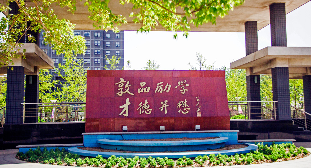 新奥门2024资料1688茄子